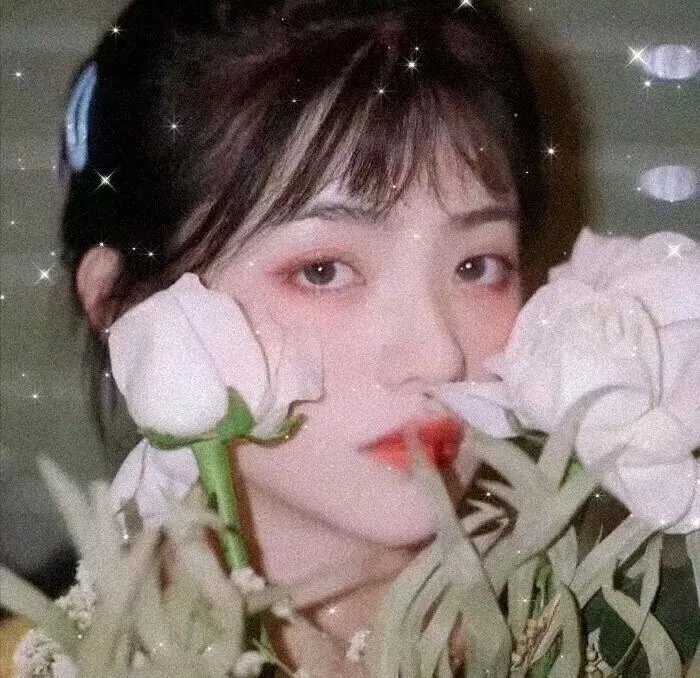 我属于谁